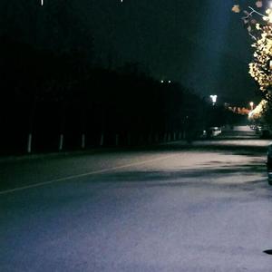 日本中文一二区有码在线观看
